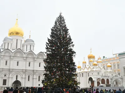 Фото Елки в Кремле: Великолепные изображения различных форматов