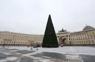 Зимний праздник: Фотографии элегантных елок