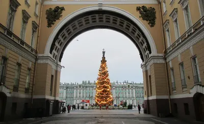 Подлинная красота: Фотографии елок на дворцовой площади