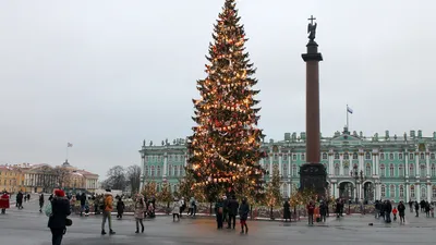 Скачайте красоту: Фотографии Елки в разных форматах