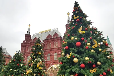 Уникальные изображения елок в Москве: Персонализируйте свою фотографию