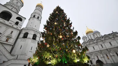 Фото Московских елей: Изысканная индивидуализация формата