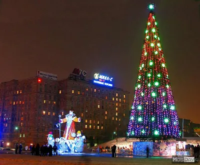 Великолепные елки в Московском стиле: Свободный выбор формата изображения