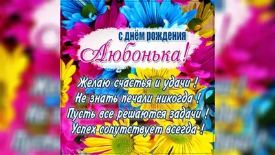 Оригинальные фото для поздравления Эльвирочки