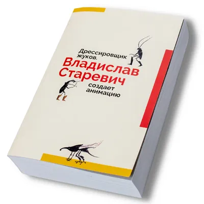 Жуки: изображения для скачивания в хорошем качестве