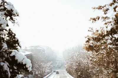 Зимнее волшебство в Ереване: Фотографии для скачивания