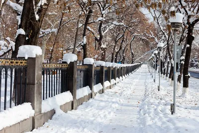Магия зимнего Еревана: Лучшие фотографии города