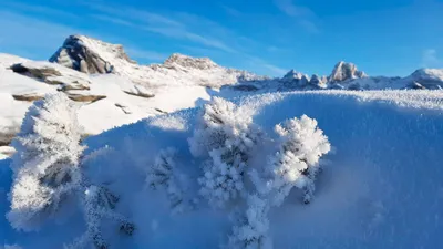 Зимние краски природы: фотографии Ергаков для скачивания