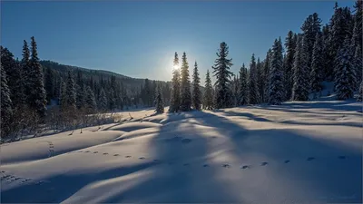Волшебные зимние моменты: фото Ергаков для скачивания