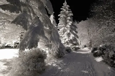 Ессентуки под снежным покровом: Зимний фотоальбом