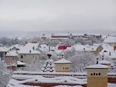 Фотографии зимних зарисовок Ессентуки: Белоснежная красота