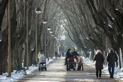 Плените моменты: Зимняя краса Ессентуки на фото