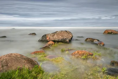 Уникальная красота Балтийского моря: лучшие фотографии из Эстонии