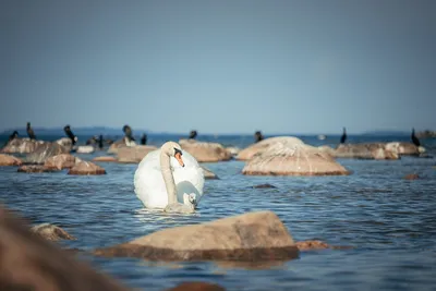 Приключение на велосипеде вдоль берега Балтийского моря: фотографии, которые захочется повторить