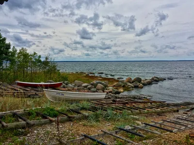 Фоны Эстонии: природная красота морского побережья