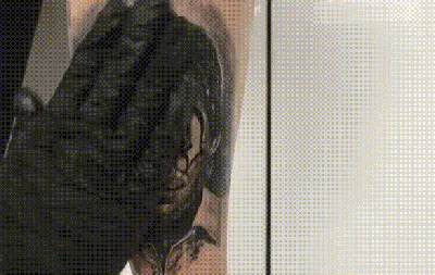 Фотографии каждого этапа заживления татуировки: пошаговое руководство