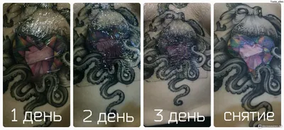 Этапы заживления тату в картинках: полное руководство