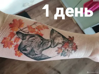 Изображения каждого этапа заживления тату: подробное руководство