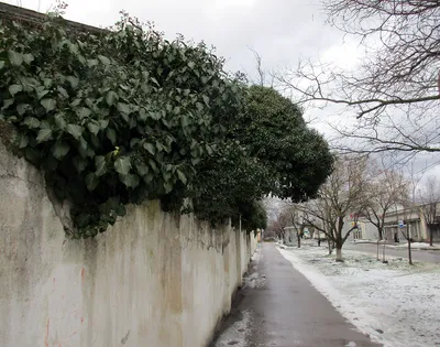 Зимняя гармония: Фотографии города Евпатории на выбор
