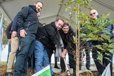 Фоткi еврейского дерева гаркад в стиле арт