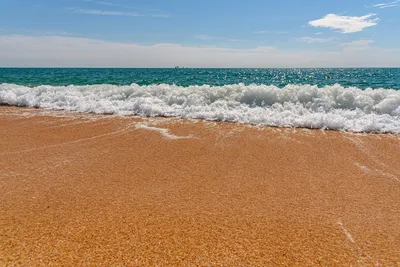 Фото Феодосия береговое золотой пляж - 16