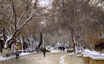 Зимние пейзажи Феодосии: Отражение величия природы