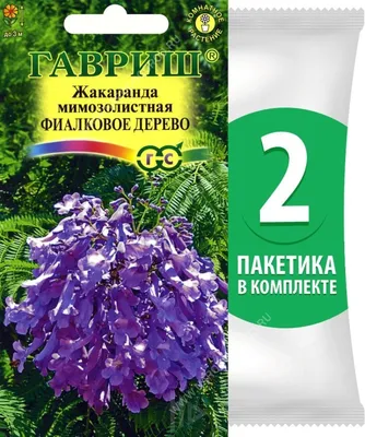 Подарок природы: Фиалковое дерево в объективе