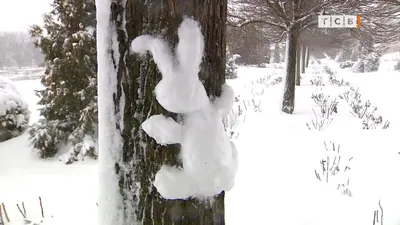 Фотография: Удивительные снежные скульптуры на фоне зимнего вечера