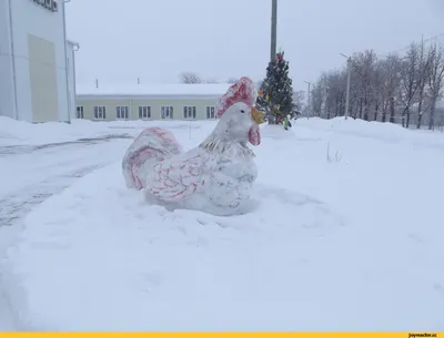 Фото снежных скульптур, которые оживают под светом фонарей