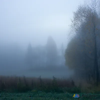 Визуальные откровения фильма Туман на фото