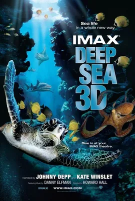 Очарование подводного мира на фото: обои на андроид в Full HD