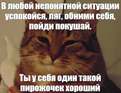 Философские картинки про любовь: отражение философских взглядов на природу любви