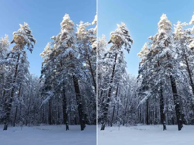 Фото снега в HD качестве