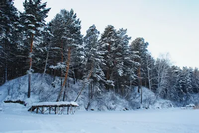 Очаровательные снежные виды