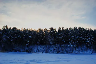 Лучшие снежные изображения для фона