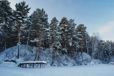 Зимние обои снега на рабочий стол