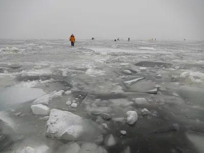 Зимнее волшебство: Финский залив на удивительной фотографии