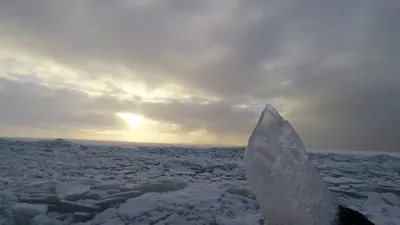 Зимний фотоальбом: Финский залив в разных размерах