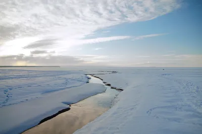 Ледяная красота: Фото Финского залива зимой