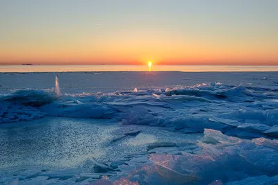Зимняя прелесть: Изображение Финского залива в формате WebP