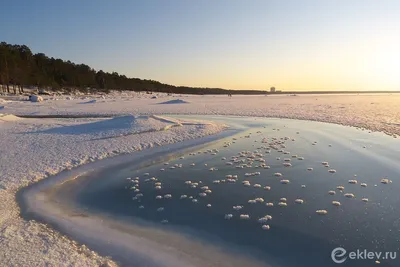 Фотография Финского залива: Иней и лед в каждом пикселе