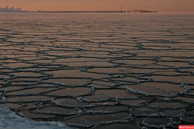 Зимний район: Финский залив в различных размерах изображения