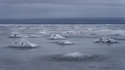 Зимний кайф: Фото Финского залива в любом формате