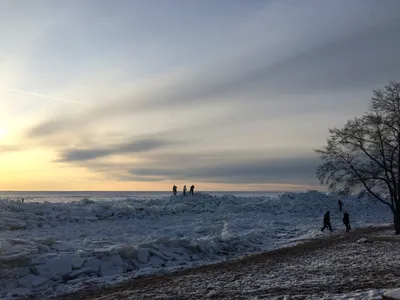 Зимний мир: Финский залив на фотографии