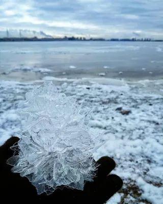 Финский залив зимой фотографии