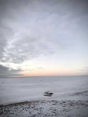 Ледяной мир: Финский залив на фотографии в WebP