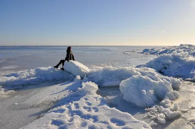 Фотография Финского залива: Зимний восторг в формате JPG