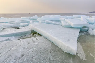 Финский залив зимой: Картина в PNG формате для загрузки