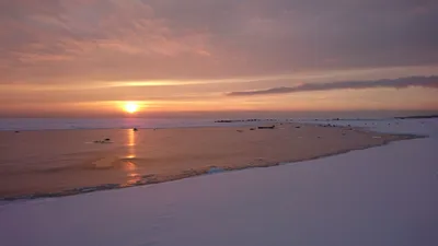 Зимняя аура: Великолепие Финского залива в изображении