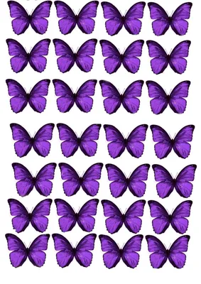 Изображение фиолетовых бабочек в формате PNG